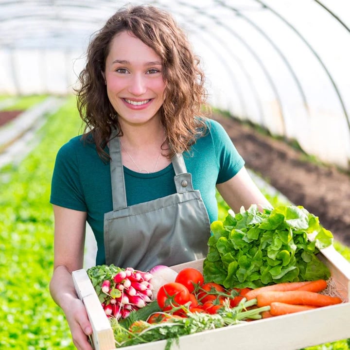 Soil Surge™ — Ontsteek Explosieve Groei en Onstuitbare Plantkracht