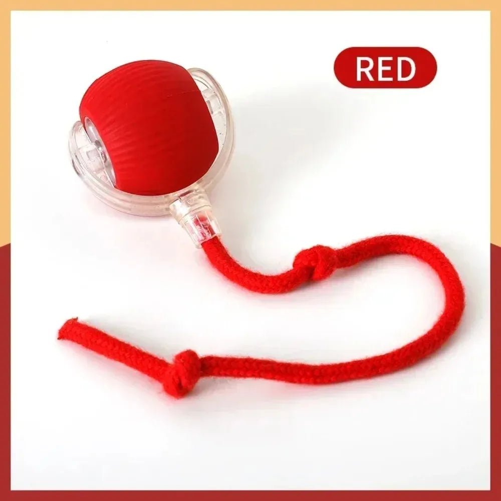 Magic Cat Ball Pro - Interactive LED Motion Toy π±β¨ - Zavonix