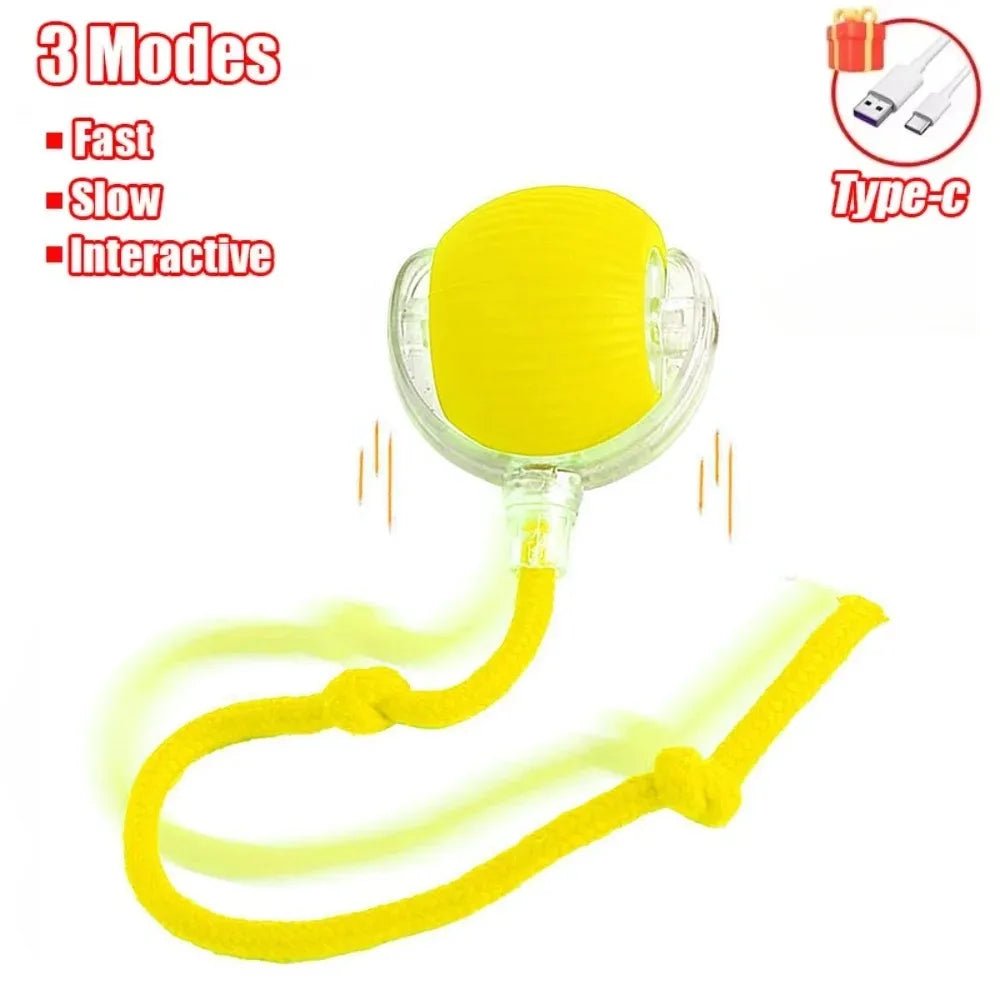 Magic Cat Ball Pro - Interactive LED Motion Toy π±β¨ - Zavonix