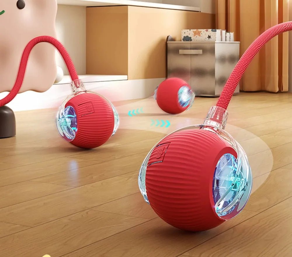 Magic Cat Ball Pro - Interactive LED Motion Toy π±β¨ - Zavonix