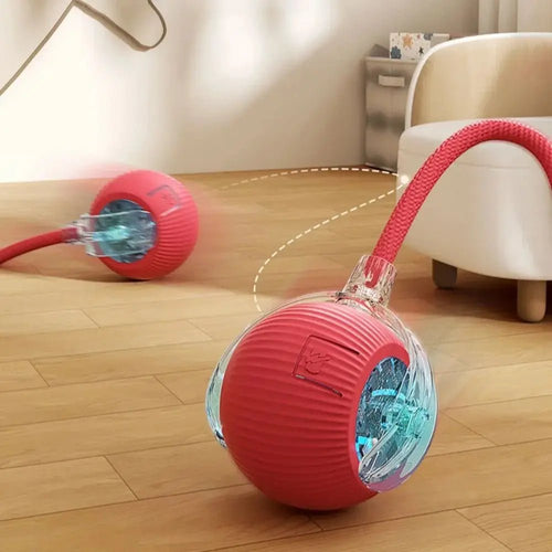 Magic Cat Ball Pro - Interactive LED Motion Toy π±β¨ - Zavonix
