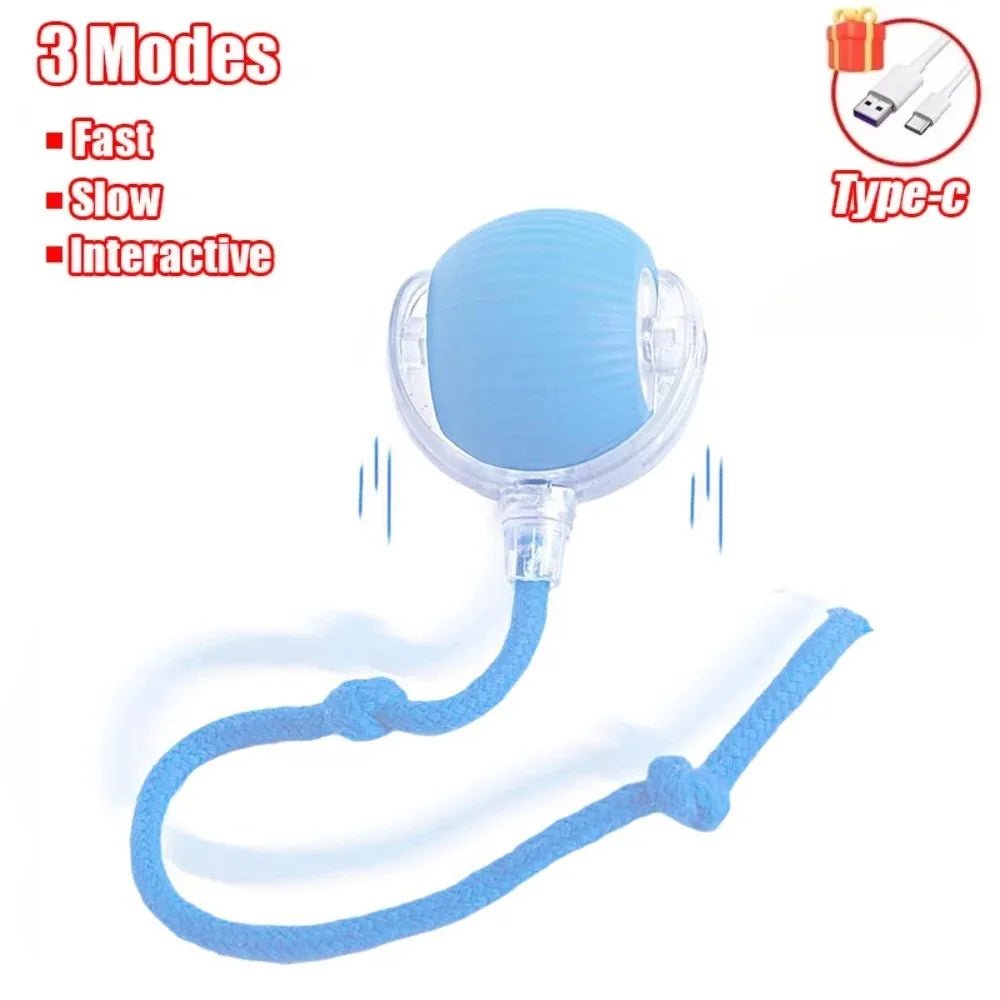 Magic Cat Ball Pro - Interactive LED Motion Toy π±β¨ - Zavonix
