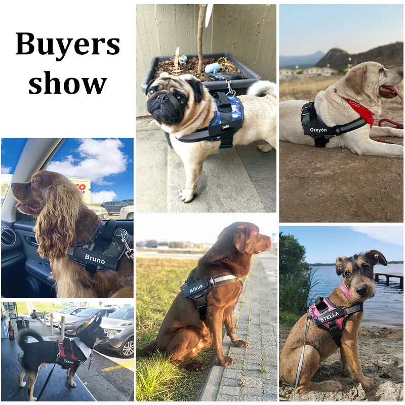 ๐พ Personalized Dog Harness - Comfort and Safety for Your Furry Friend ๐ถ - Zavonix