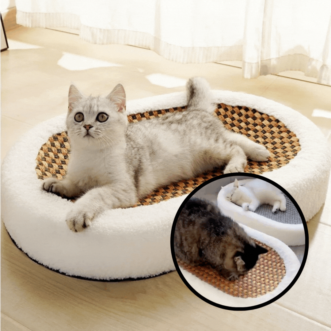 ScratchVibe™ — Transform Claw Chaos into Cozy Cat Bliss