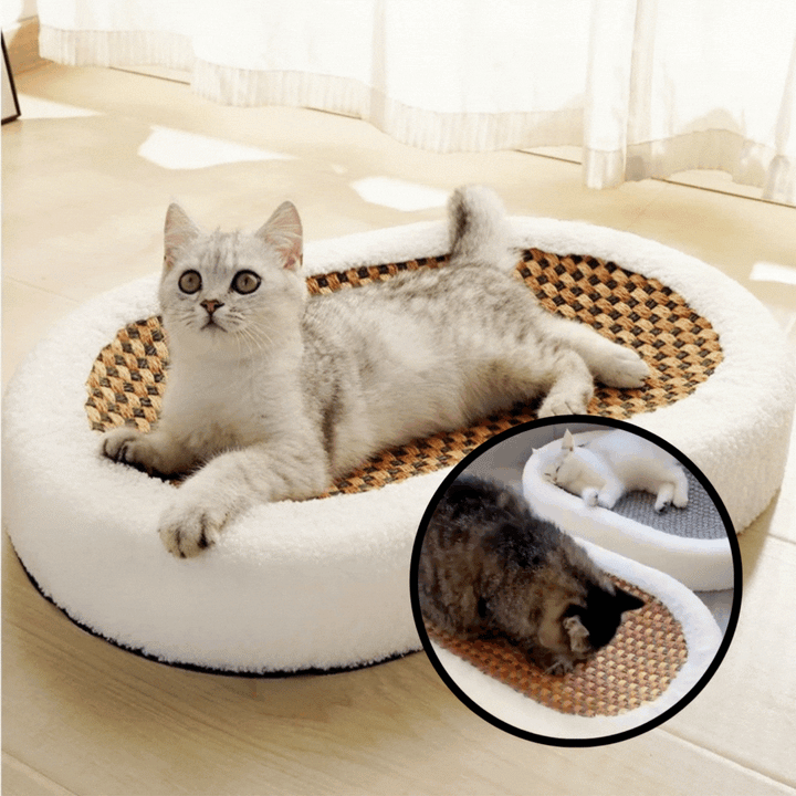 ScratchVibe™ — Transform Claw Chaos into Cozy Cat Bliss