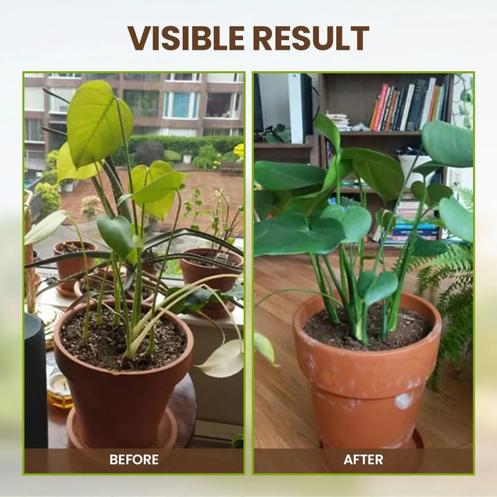 Soil Surge™ — Ignite Explosive Growth and Unstoppable Plant Power
