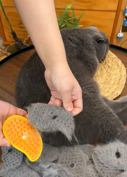 مشط عناية للحيوانات الأليفة 3 في 1 مع بخاخ بخار للتحكم في تساقط الشعر