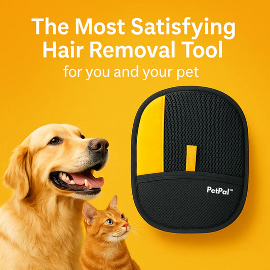 FurVanta™ — Transform Grooming Into a Soothing, Hair-Free Bonding Experience