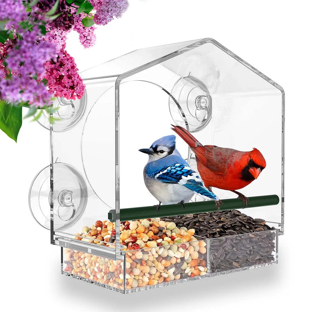 Breezy Window Bird Feeder | Clear Acrylic, Easy to Clean 0