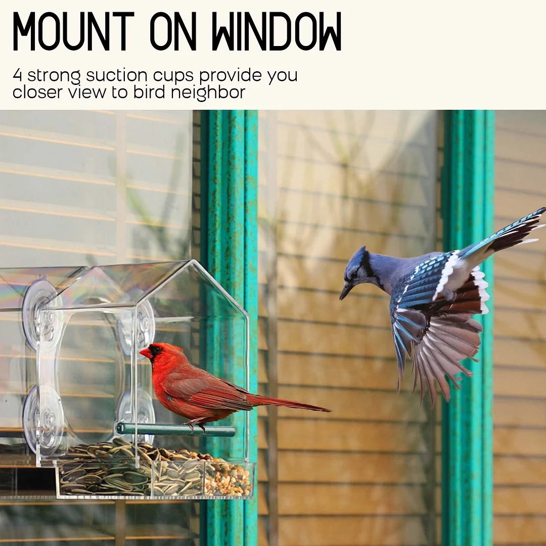 Breezy Window Bird Feeder | Clear Acrylic, Easy to Clean 1
