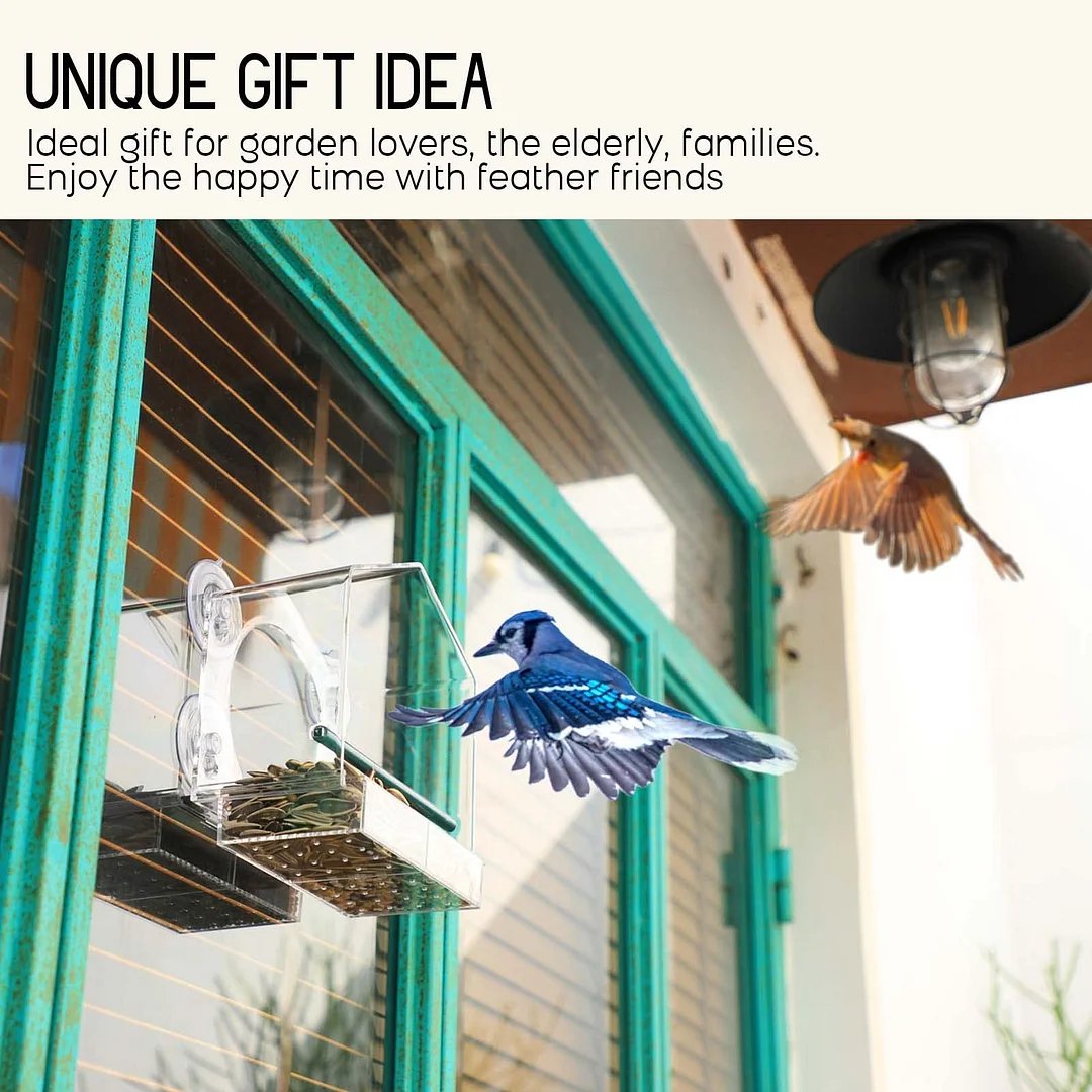 Breezy Window Bird Feeder | Clear Acrylic, Easy to Clean 4