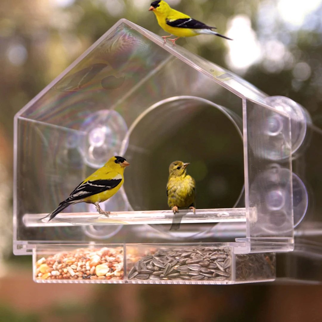 Breezy Window Bird Feeder | Clear Acrylic, Easy to Clean 5