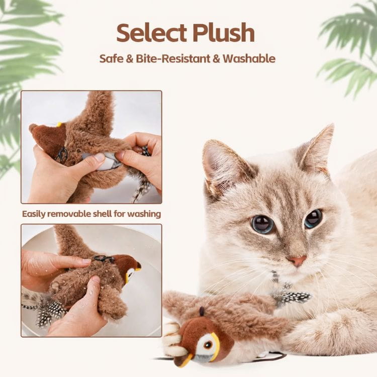 Buzzy BirdBuddy Cat Toy | Interactive, USB Rechargeable 3