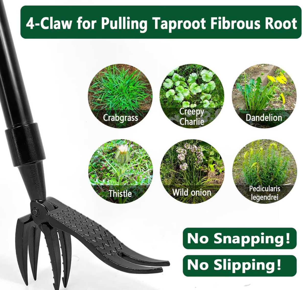 Wanda Garden Tool | Ergonomic Weed Remover, High-Strength Steel 2