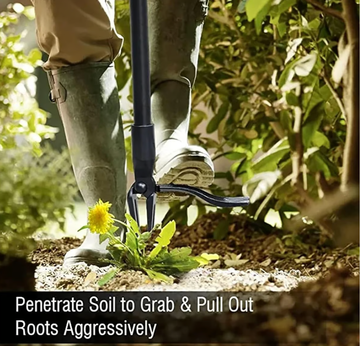 Wanda Garden Tool | Ergonomic Weed Remover, High-Strength Steel 3