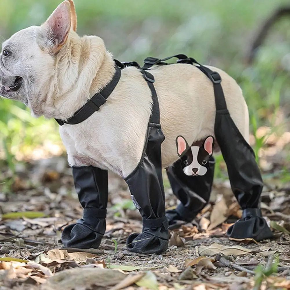 Adjustable Connected Dog Boots - Ultimate Paw Protection - Zavonix