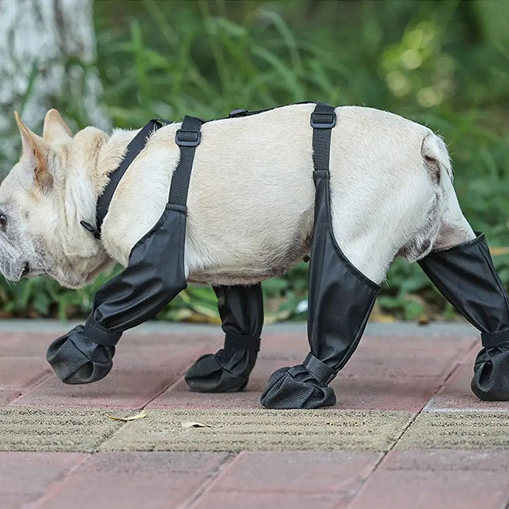 Adjustable Connected Dog Boots - Ultimate Paw Protection - Zavonix