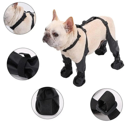 Adjustable Connected Dog Boots - Ultimate Paw Protection - Zavonix