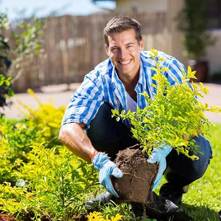 Soil Surge™ — Ignite Explosive Growth and Unstoppable Plant Power