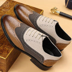 Balmando Oxford Shoes (Beige US 6 / EU 38) - | Zavonix
