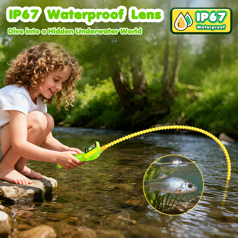 Child viewing a fish with the camera probe in shallow water