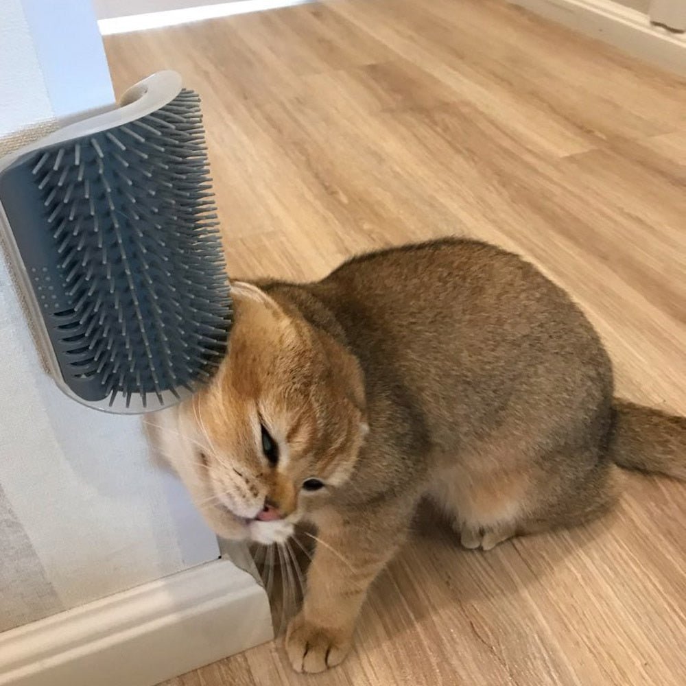 Katzen-Eckpflege-Massagegerät mit Klebehalterung