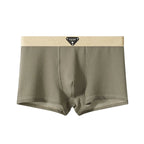 Chune Men's Boxers | Cooling Ice Silk Fabric for Ultimate Comfort (Green XS) - Men's Underwear | Zavonix