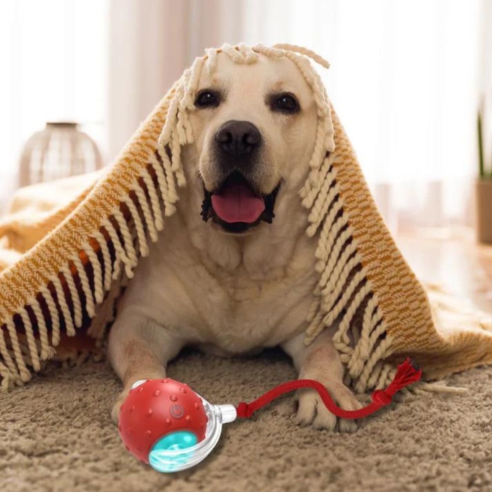 Clever ChewRoll Toy | Interactive Rolling Ball 4