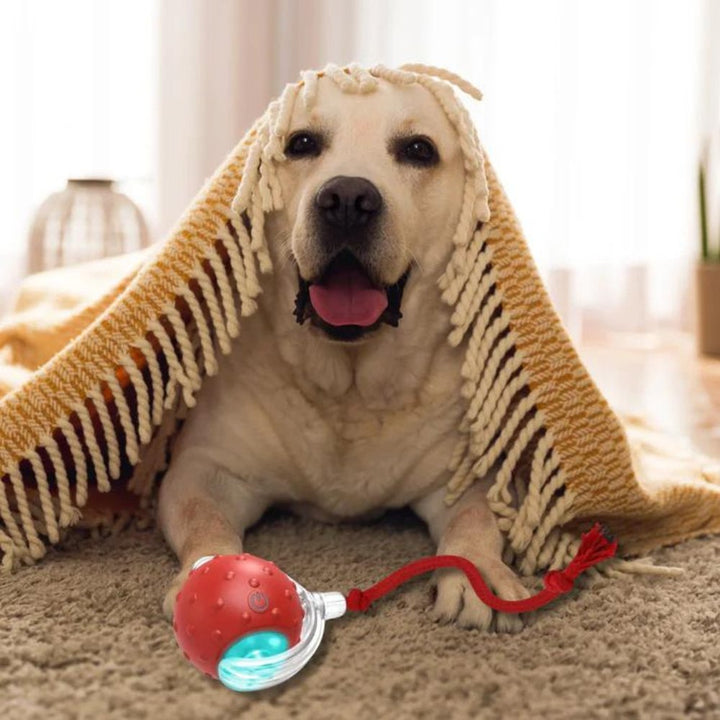 Clever ChewRoll Toy | Interactive Rolling Ball 4