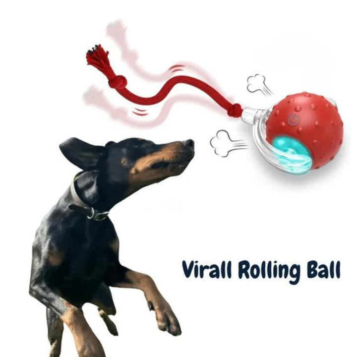 Clever ChewRoll Toy | Interactive Rolling Ball 0