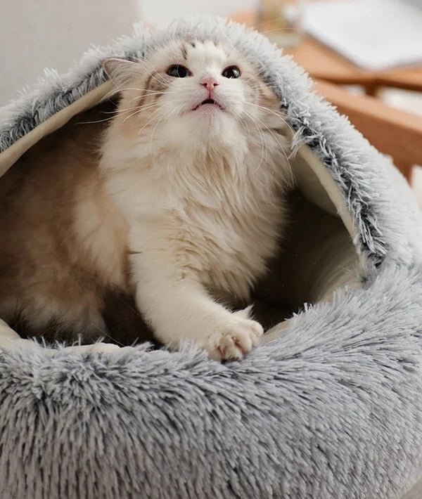 Coco Nest Bed | Orthopedic Plush Dog and Cat Bed 1