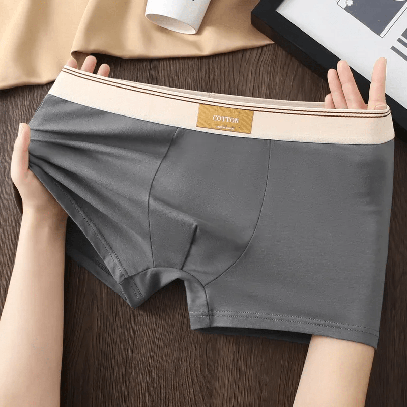 Cotton Theory Boxer Briefs (Gray XS) - | Zavonix