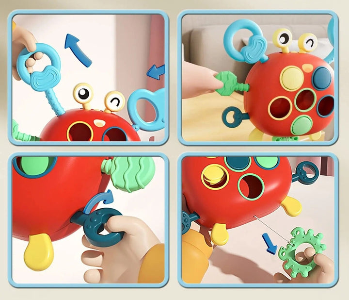 Four close-ups showing hands pulling the crab toy&