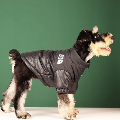 Dog Face Puffer Coat - Zavonix