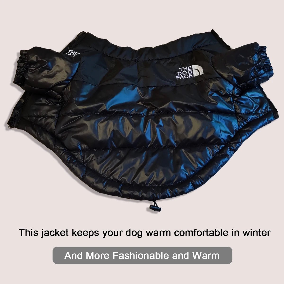 Dog Face Puffer Coat - Zavonix