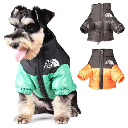 Dog Face Puffer Coat - Zavonix