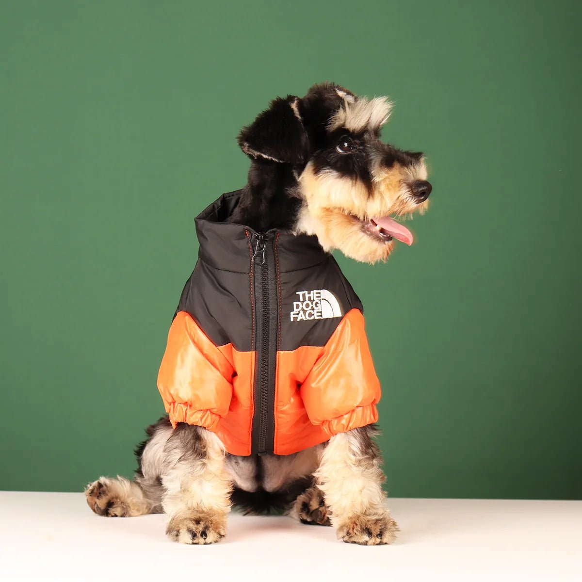 Dog Face Puffer Coat - Zavonix