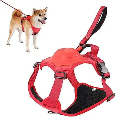 Dog Harness And Retractable Leash Set - Zavonix