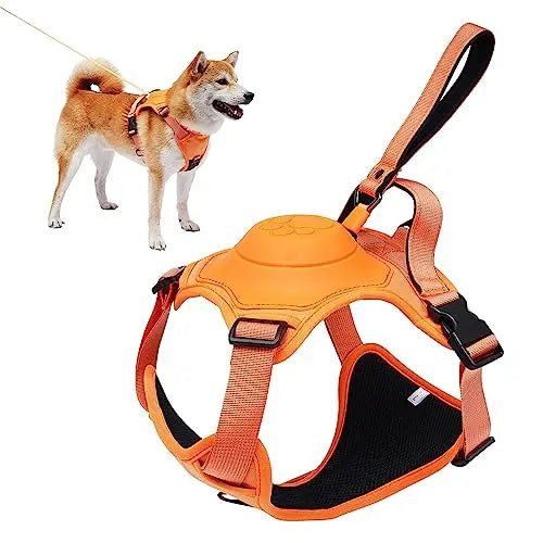 Dog Harness And Retractable Leash Set - Zavonix