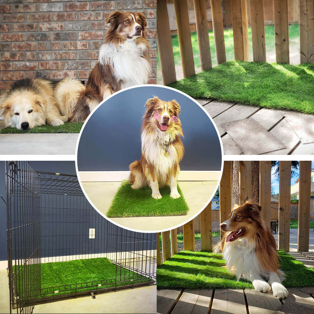 Dwellturf Indoor Dog Potty Mat Washable Grass Relief Pads Product Image 02