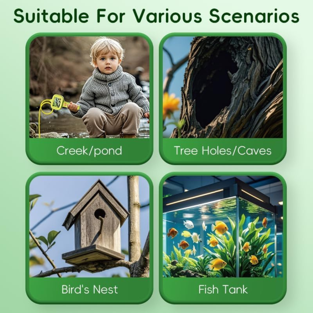 Endoscope activity examples featuring a pond, tree hollow, birdhouse, and fish tank