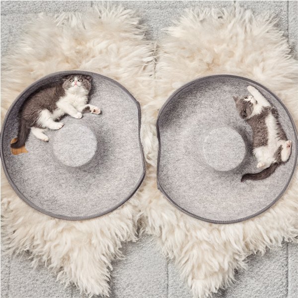 Felynn — Durable Felt Cat Tunnel and Cozy Resting Spot