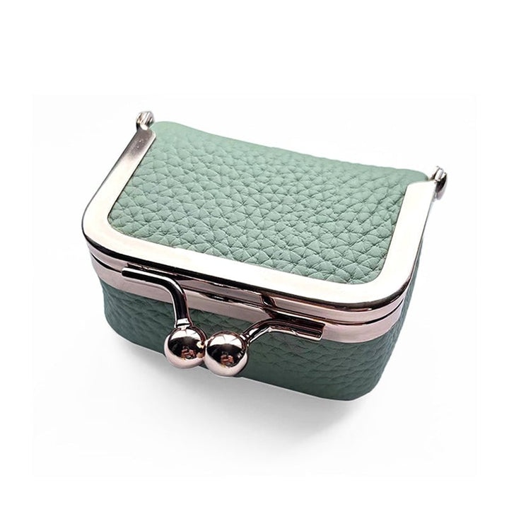 GemGuard™ — Keep Your Treasures Chic, Secure, and Always Ready to Shine