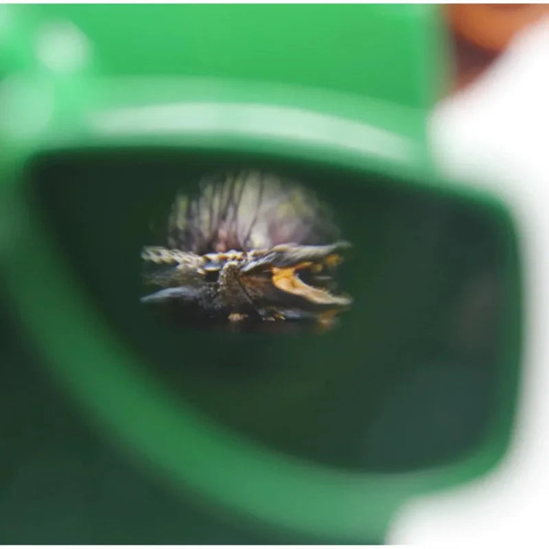 Close-up of a scene visible through a green 3D viewer's eyepiece