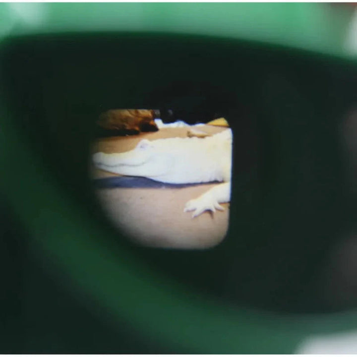 Illustrated scene seen inside a green 3D picture viewer