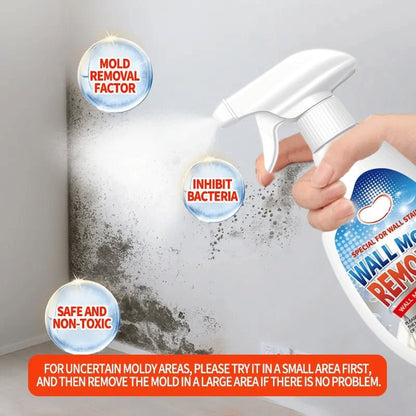 HomeGuardPro™ — Crush Mould Instantly and Shield Your Home for Good