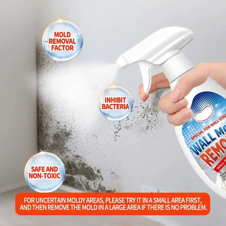 HomeGuardPro™ — Crush Mould Instantly and Shield Your Home for Good