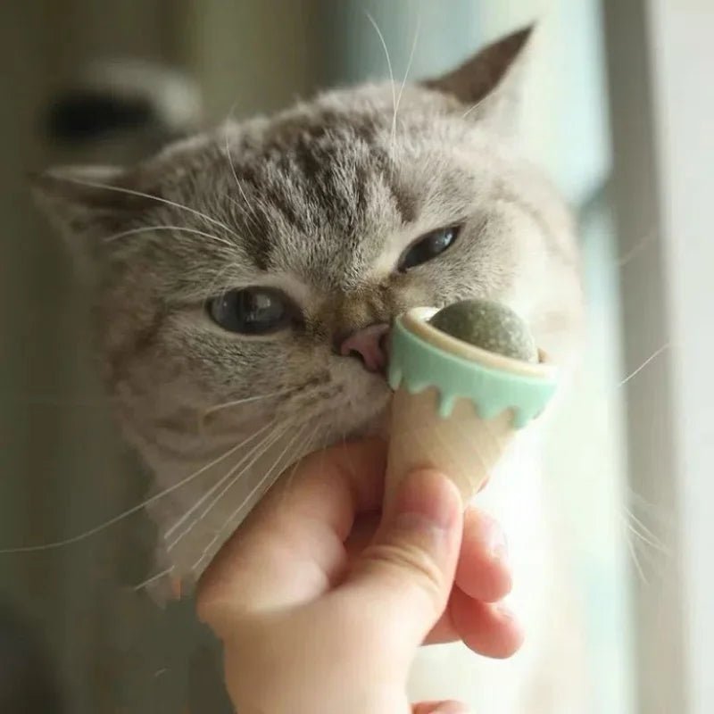 Ice Cream Catnip Toy 🍦 – Keep your cat entertained and active! - Zavonix