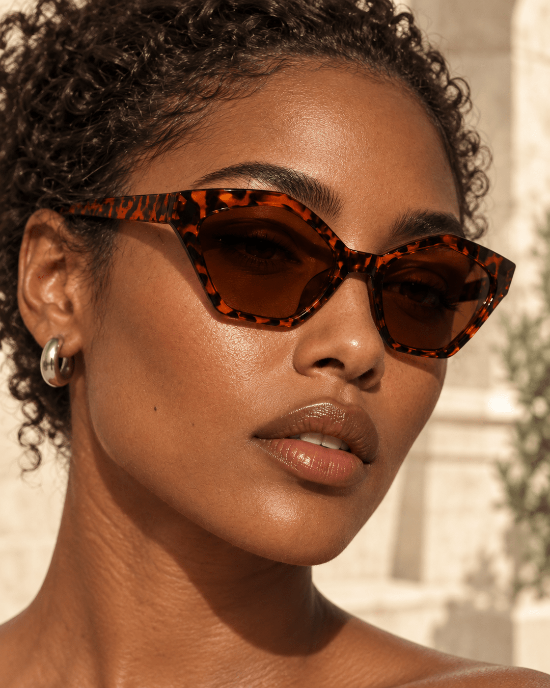 Ivara Cat-Eye Sunglasses Leopard image 2