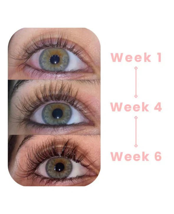 LashSurge Serum | Best Eyelash Growth with Natural Ingredients
